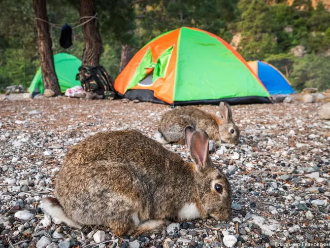 Žygis Turkijoje Likijos taku, per rudens vaikų atostogas