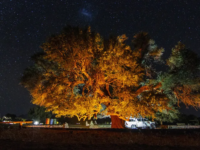 Safaris ir kopos: nepamirštama Namibija